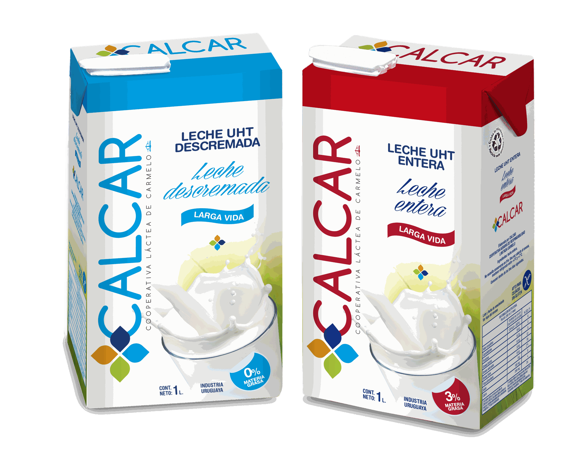 Imagen de la diapositiva